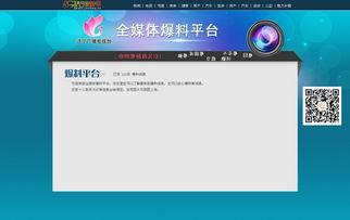 媒体爆料视频模板,媒体爆料视频背后的惊人真相